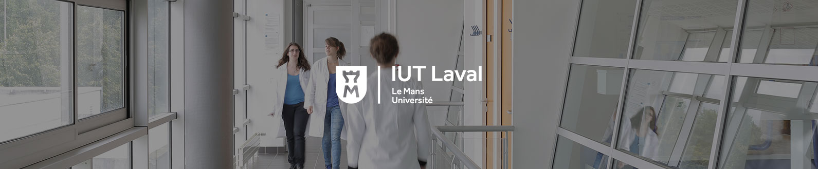 Faculté des Lettres, Langues et Sciences Humaines - Le Mans Université
